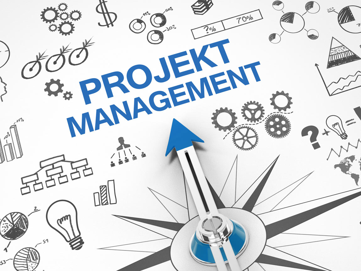 Projektsteuerung